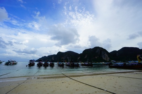 batch_DSC05484