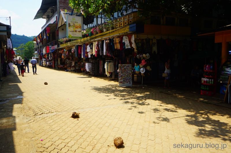 batch_DSC05938