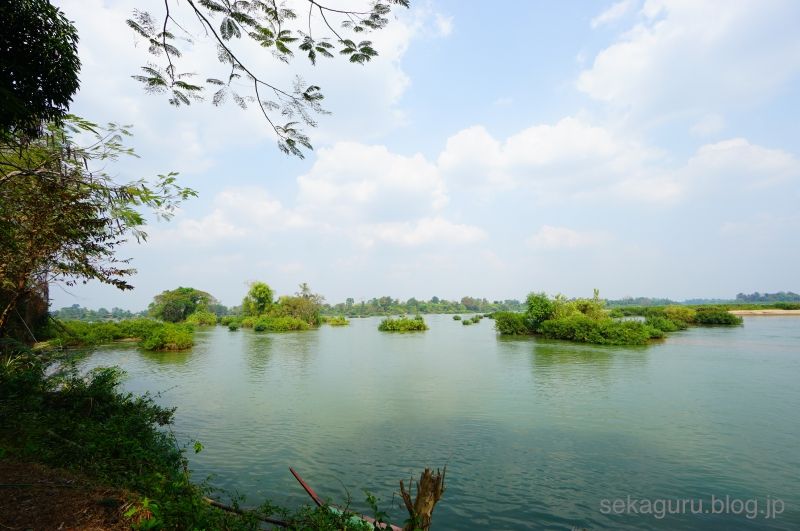 batch_DSC06352
