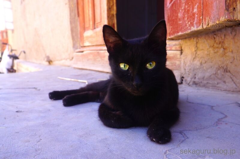batch_DSC02772
