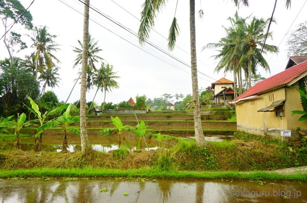 batch_CDSC011092