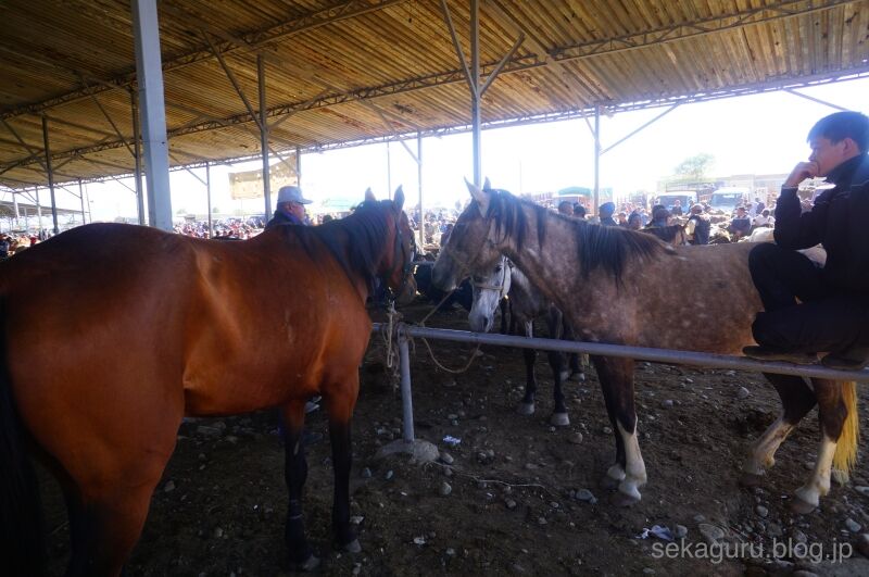 batch_DSC01098