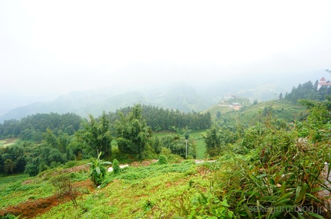 batch_DSC07907