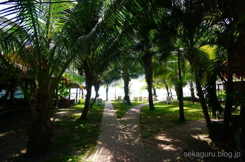 batch_DSC04649