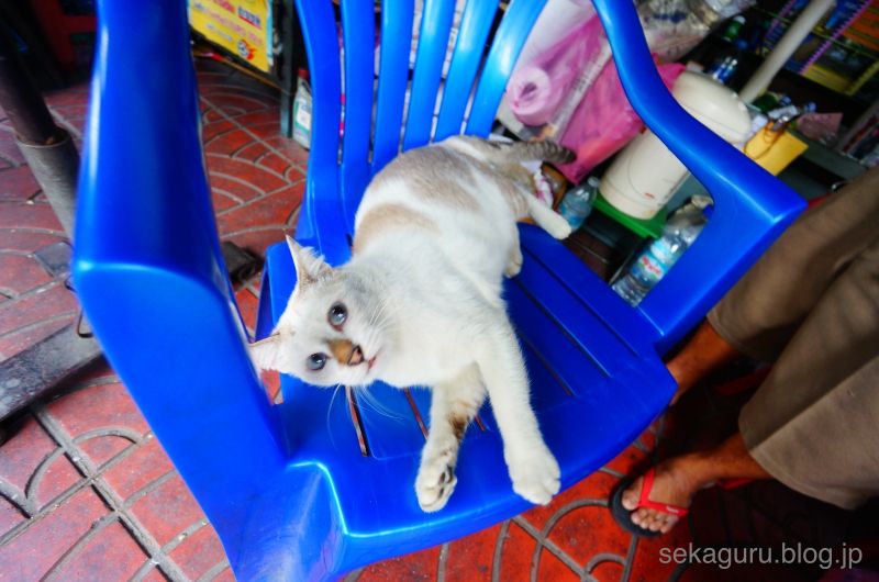 batch_DSC01825