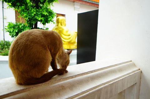 batch_DSC07699