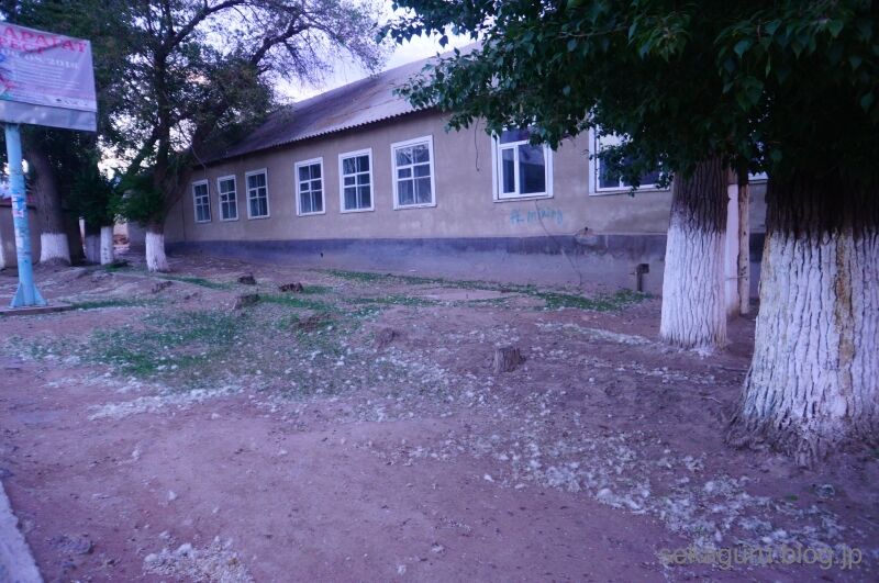 batch_DSC01836