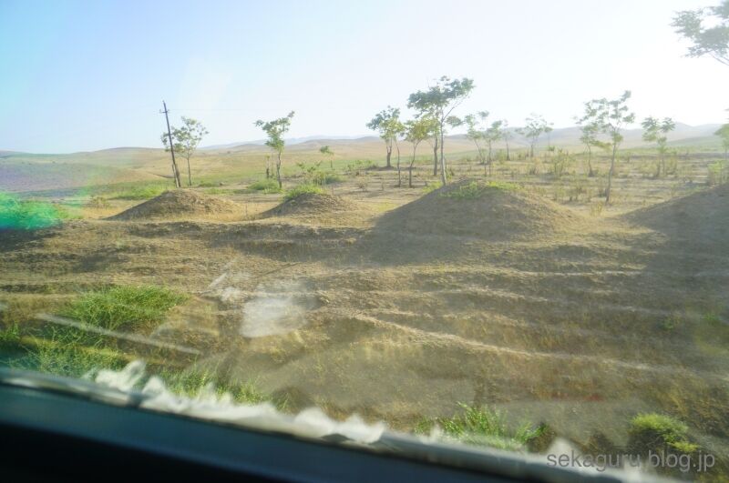batch_DSC02567