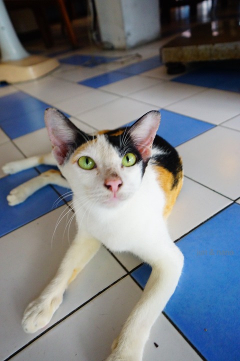 batch_DSC07868