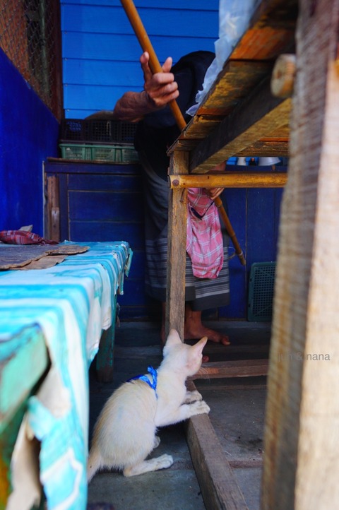 batch_DSC00653