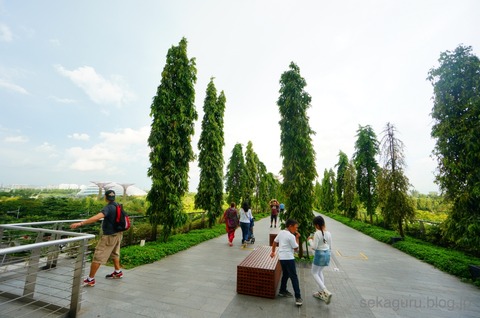 batch_DSC00377