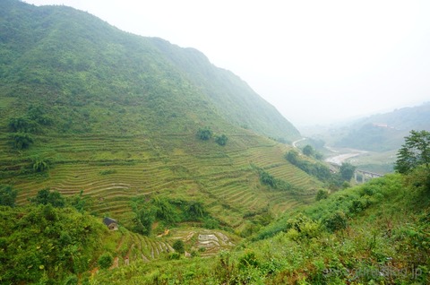 batch_DSC08090
