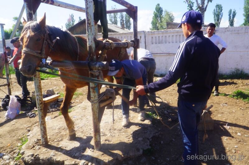 batch_DSC01105