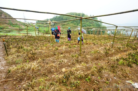 batch_DSC07963