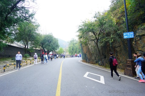 batch_DSC04245