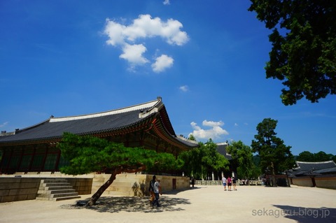 batch_DSC05503