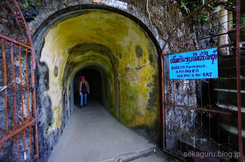 batch_DSC07337