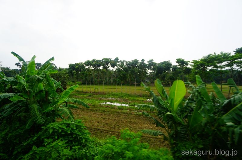 batch_DSC04960.21