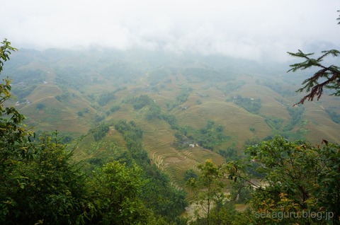 batch_DSC08063