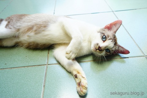 batch_DSC07770