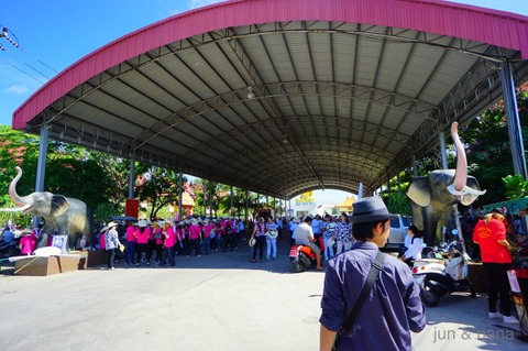 batch_DSC00473