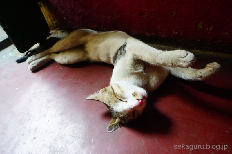 batch_DSC04410