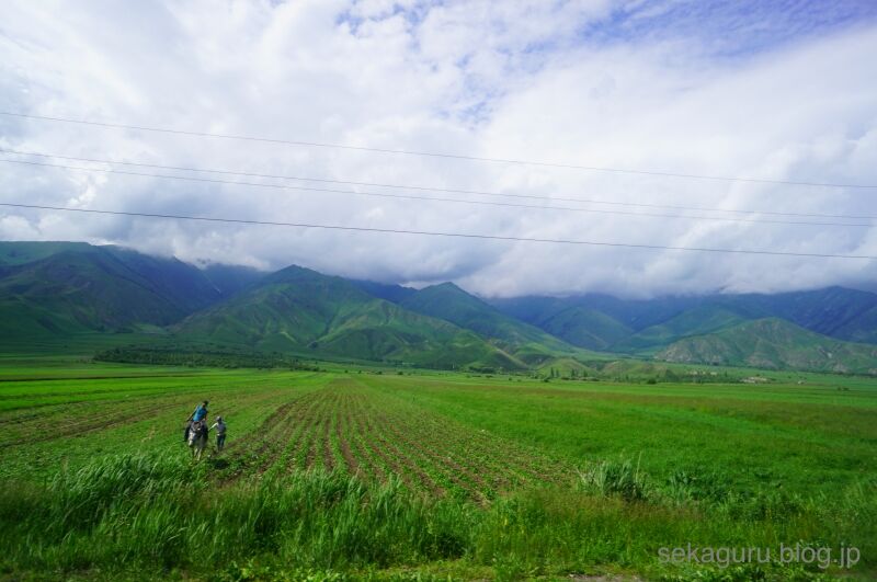 batch_DSC00952