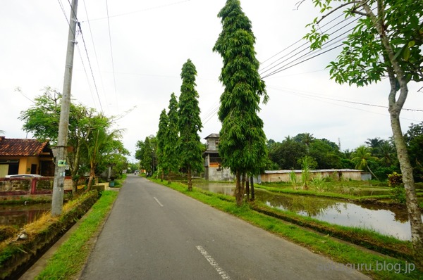 batch_CDSC011080