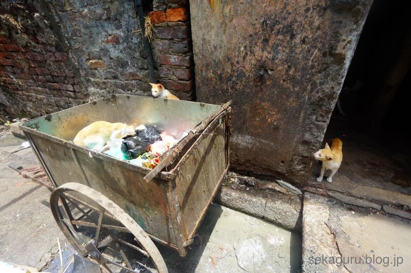 batch_DSC04842