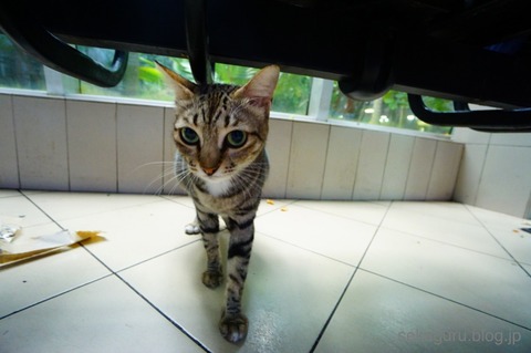 batch__DSC08292