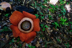 batch_DSC02582