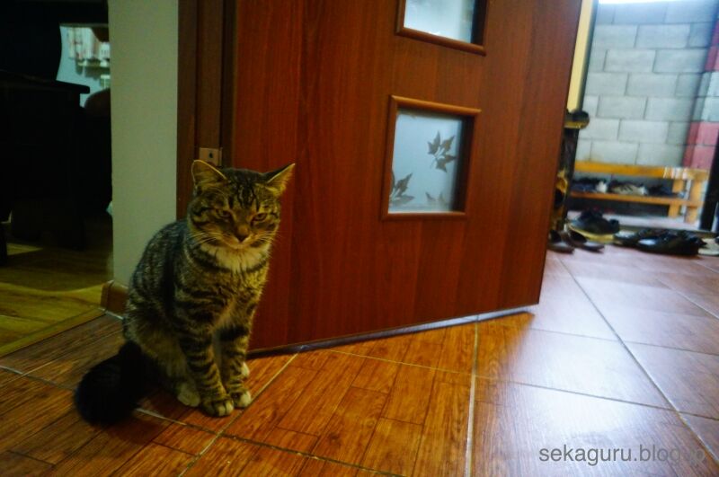 batch_DSC00189