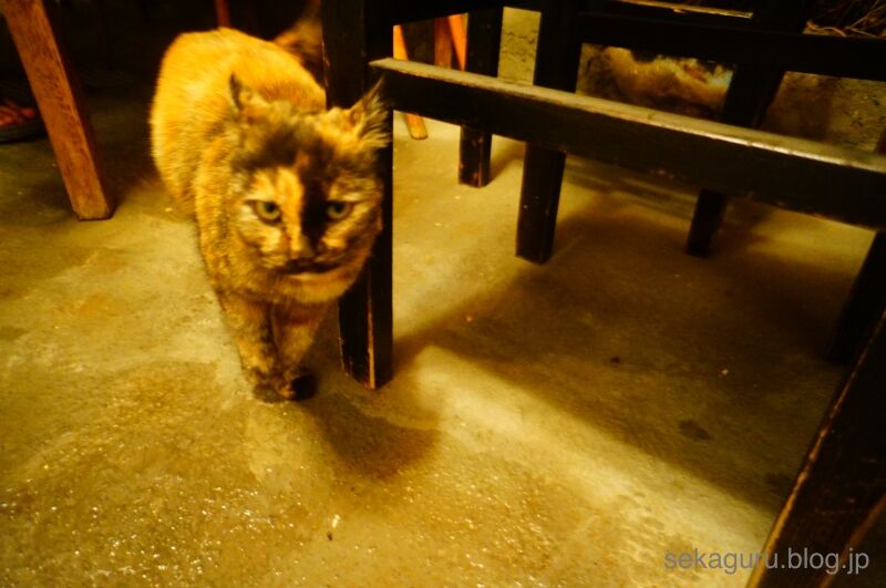 batch_DSC00774