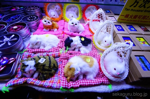 batch_DSC00986