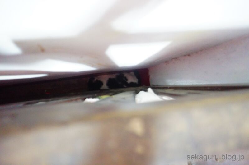 batch_DSC04982.66