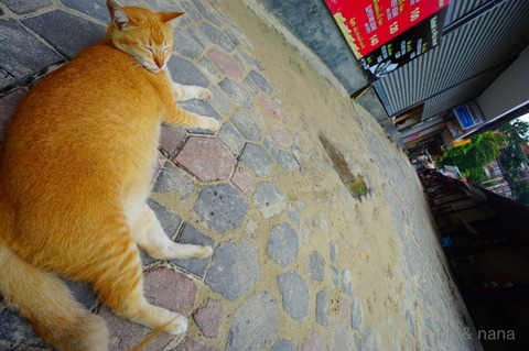 batch_DSC06320