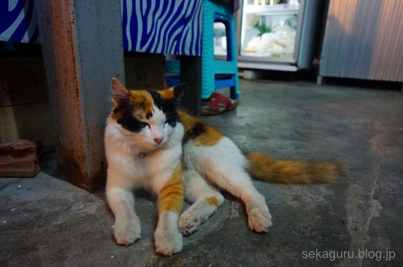 batch_DSC04523