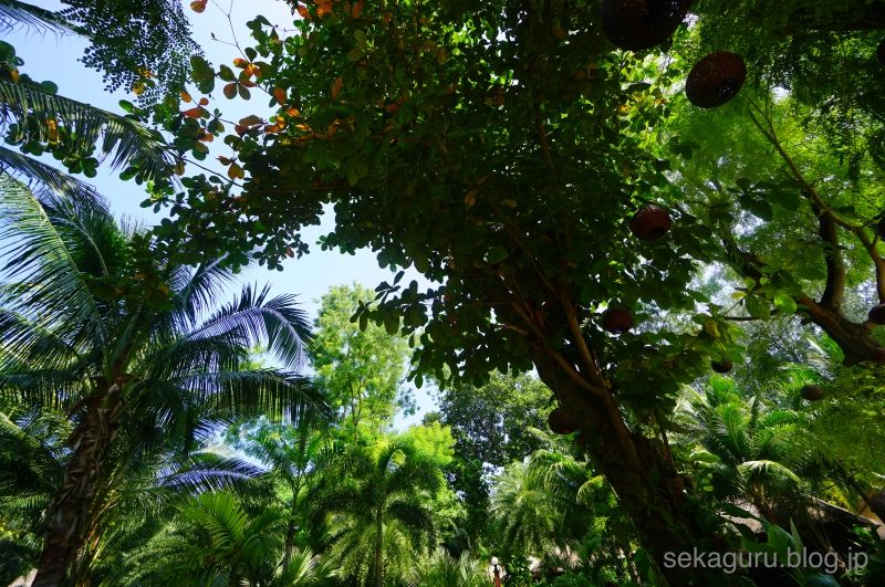 batch_DSC04609