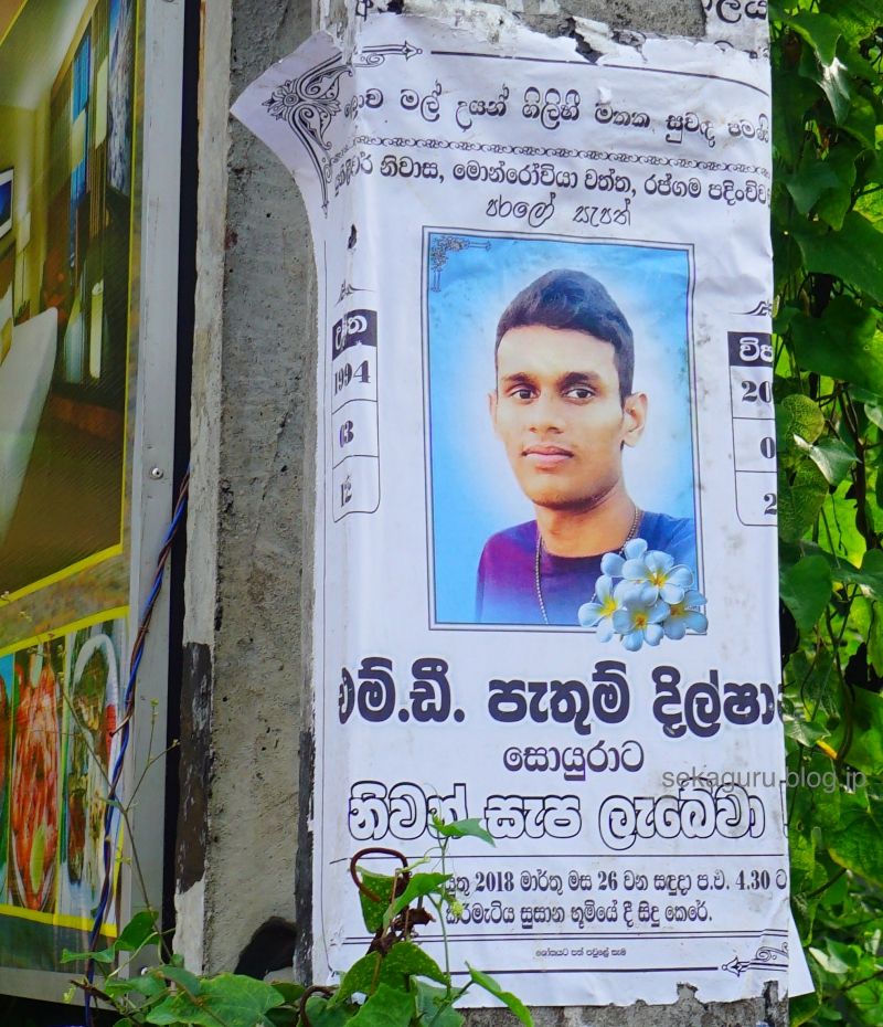 batch_DSC06608