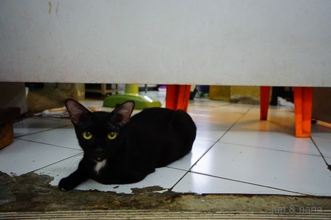 batch_DSC07872