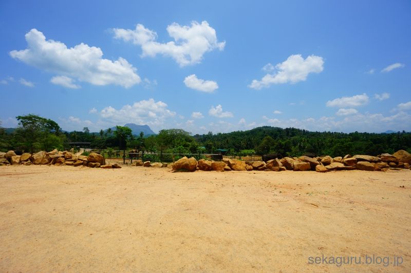 batch_DSC05874