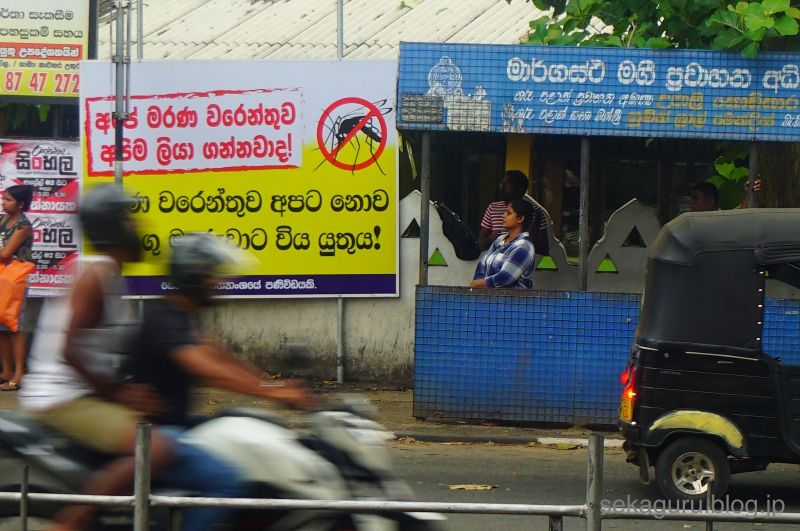 batch_DSC06462
