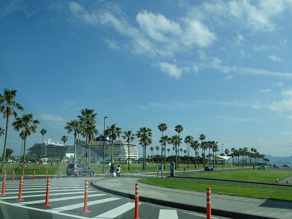 DSC03630 (2)