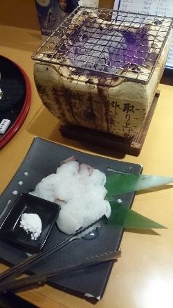 DSC_1370 (250x444)
