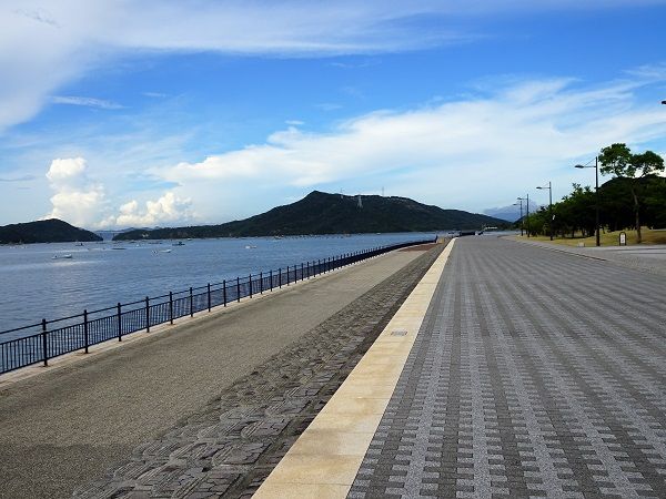 DSC05181 (2)