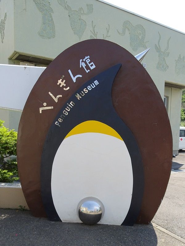 DSC03934 (2)