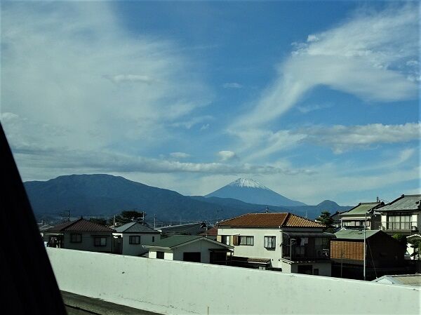 DSC06193 (2)