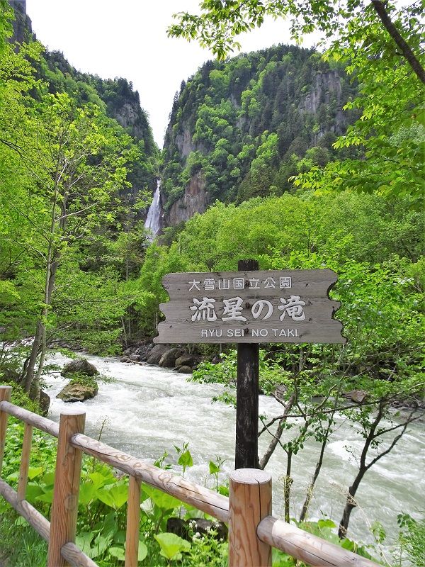 DSC04282 (2)