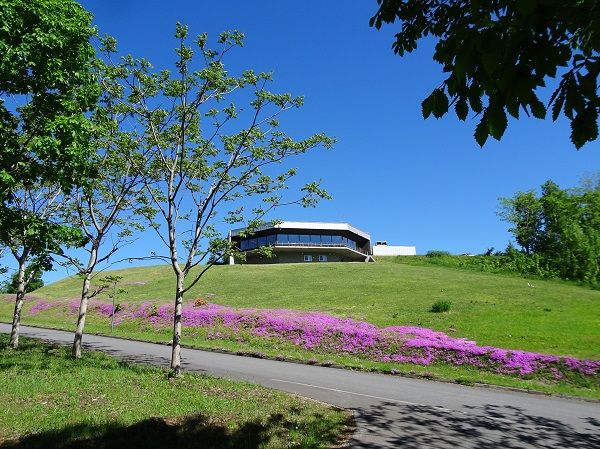 DSC04218 (2)