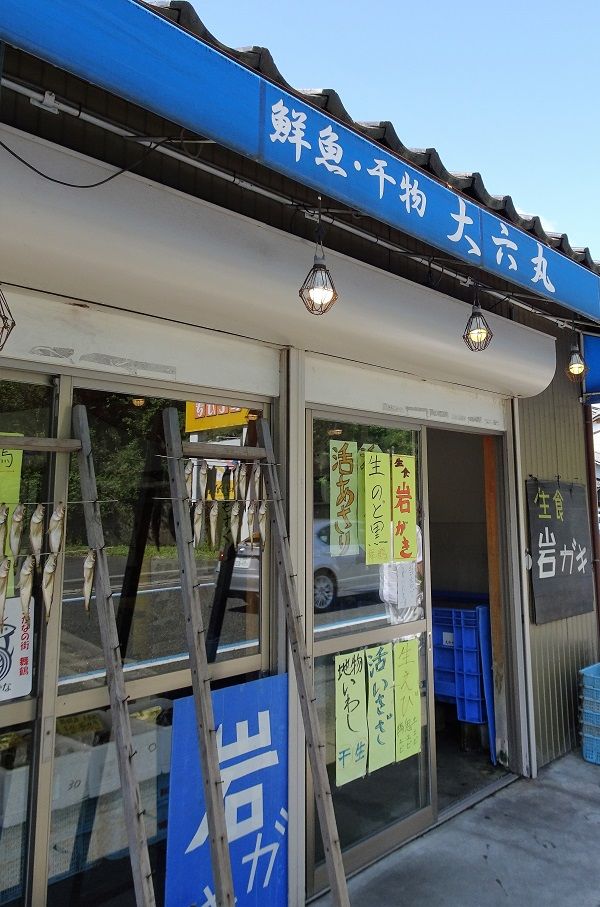 DSC03534 (2)